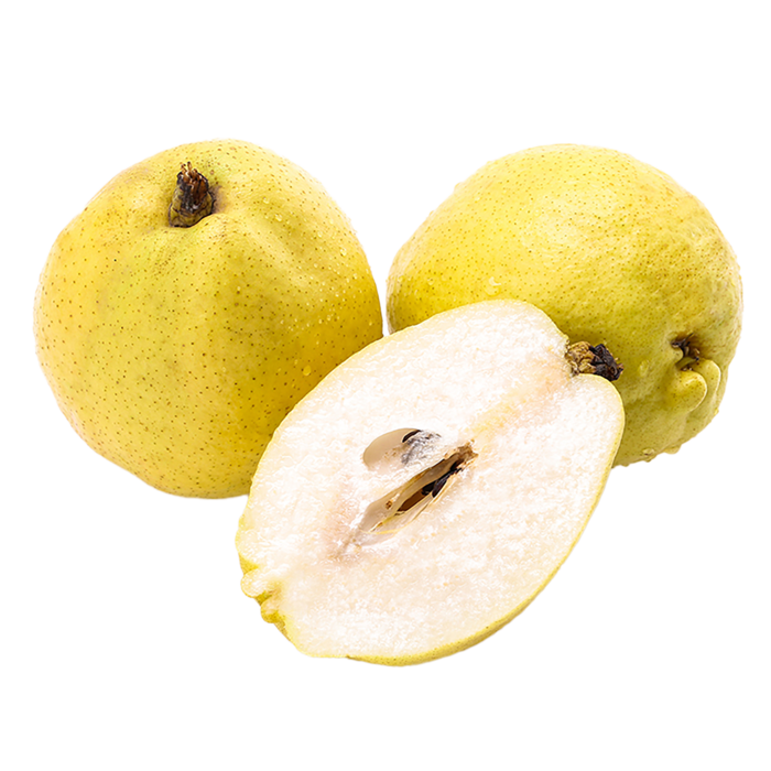 28香酥梨 (6)水果超市商品白底图免抠实物摄影png格式图片透明底