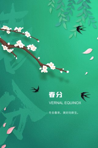 春分节气简约海报