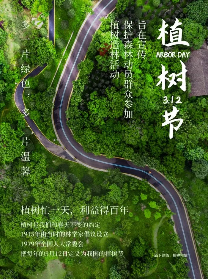 植树节3.12海报插画