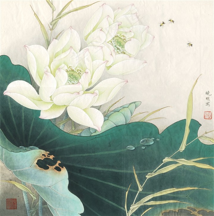 白荷亭亭荷花工笔画