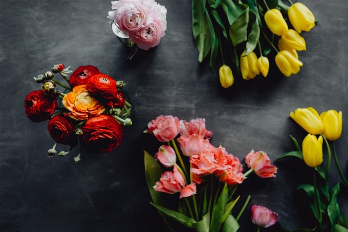 美丽鲜艳的鲜花图片