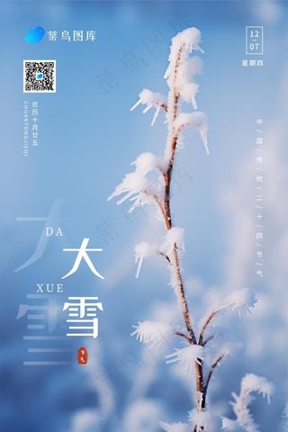 大雪清新冰枝冬天节气海报
