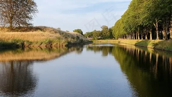 池塘, 树木, 水, 天空, 夏天, 冥想, 自然