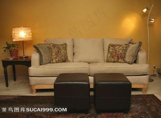 黄色典雅素净客厅