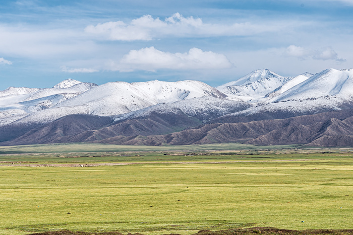巴音布鲁克湿地