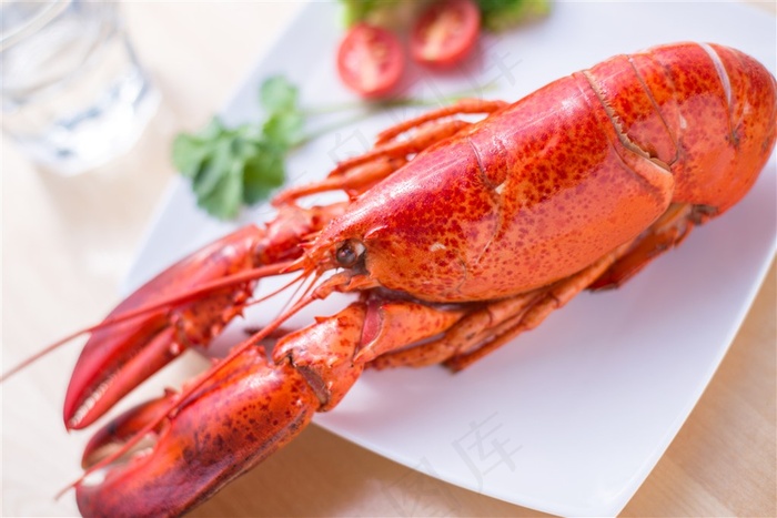 波士顿大龙虾