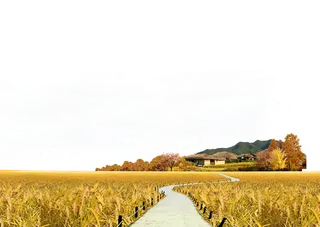 田地小路现代农业