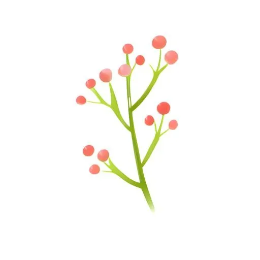 树枝花免抠(2048x2048)