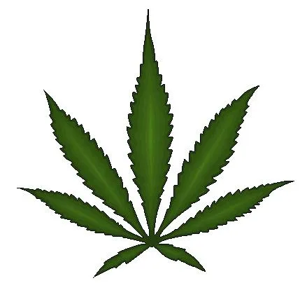 大麻PNG免抠(439x424)