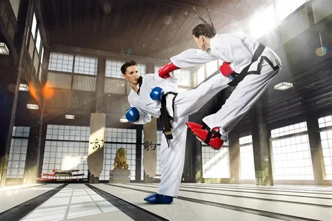 比武的空手道武士高清图片 比武的空手道武士高清图片