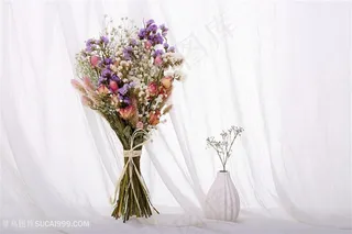 鲜花场景图摄影