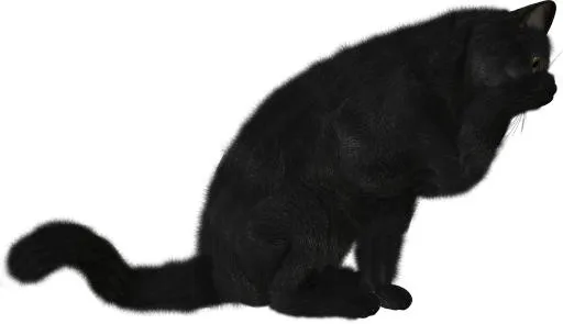 猫爪子 PNG免抠(1490x861)