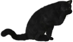 猫爪子 PNG免抠