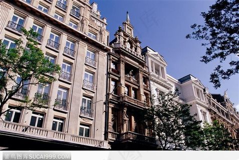 大楼整齐的窗户