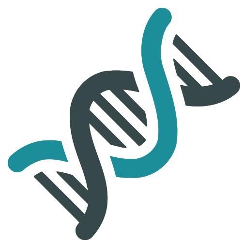 DNA免抠(500x500)