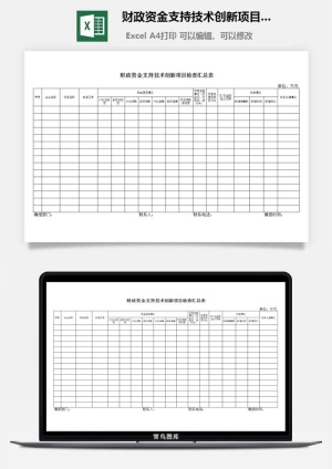 财政资金支持技术创新项目检查汇总表excel模板