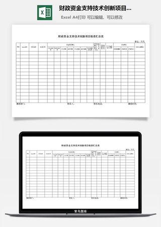 财政资金支持技术创新项目检查汇总表excel模板