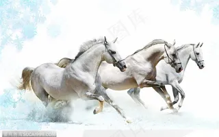 三匹正在奔腾的白色骏马图片