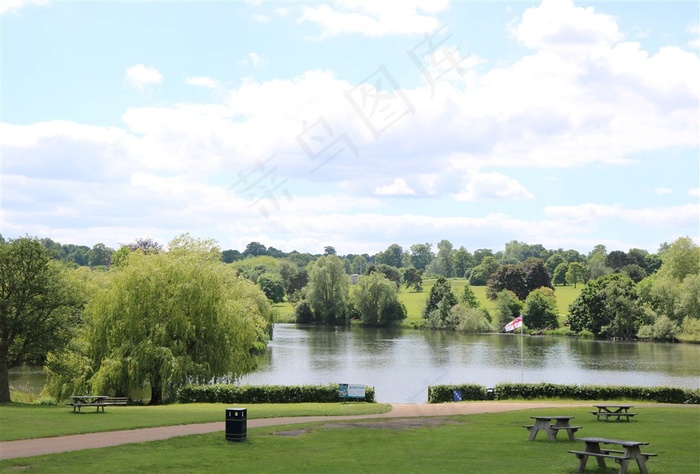 夏天的花园风景