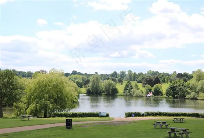 夏天的花园风景