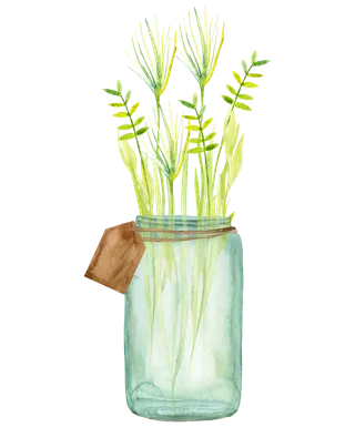 卡通黄绿色透明花瓶