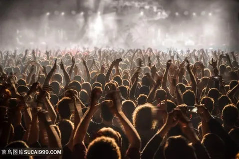 演唱会现场欢呼的粉丝