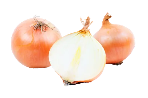 洋葱 (4)超市商品白底图免抠实物摄影png格式图片透明底