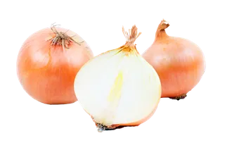 洋葱 (4)超市商品白底图免抠实物摄影png格式图片透明底