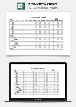 医疗机构医疗收支明细表excel模板