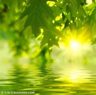 水面倒影图片素材