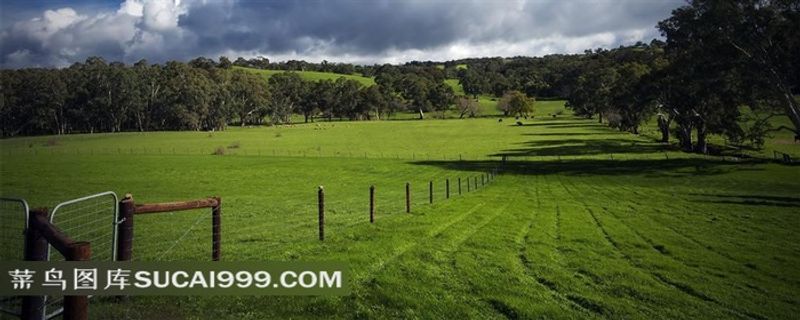 高清农场绿地创意图片