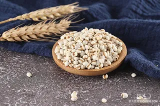 高清薏仁米图片