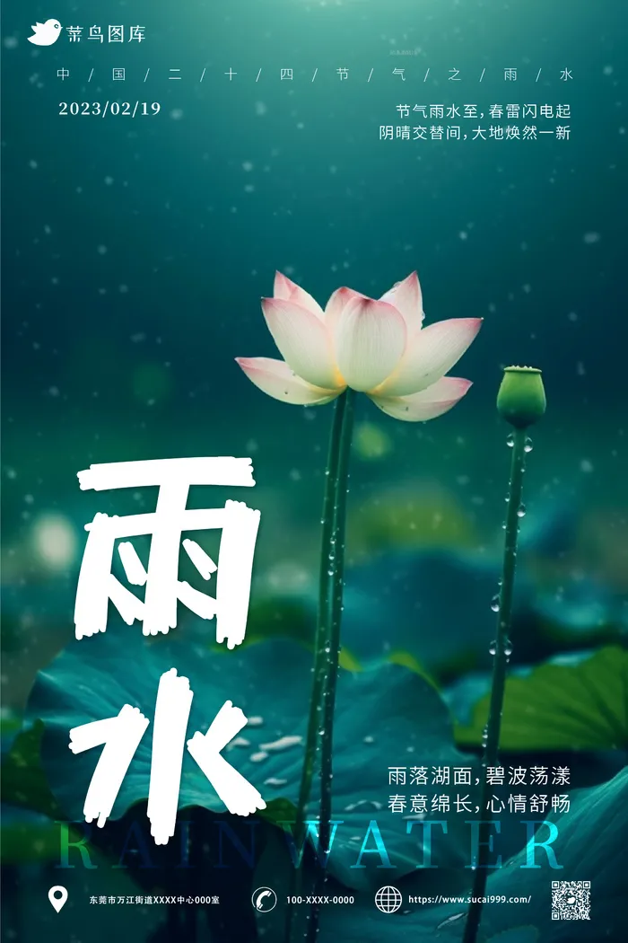 雨天 荷花 简约风 雨水节气海报ai矢量模版下载