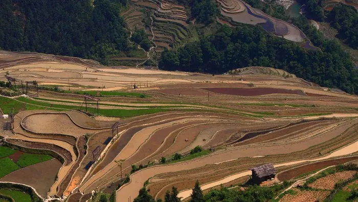 贵州加榜梯田风景图片