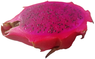 侧面半个红心火龙果免抠摄影元素素材