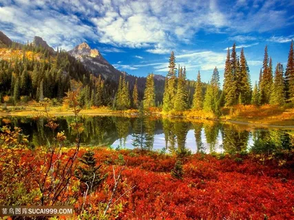 湖畔树林美景壁纸