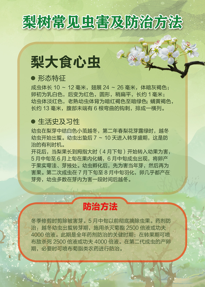 梨树常见虫害及防治方法海报psd模版下载