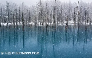 北海道森林湖泊风光素材