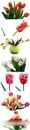 郁金香鲜花素材