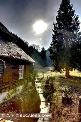 德国莱茵兰森林小屋