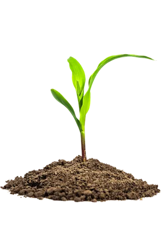 现代农业种植培养