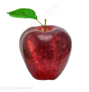 诱人可口的红苹果