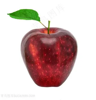 诱人可口的红苹果