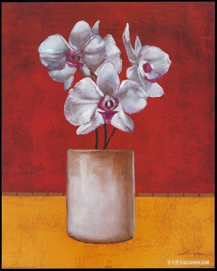 静物花卉花瓶插画装饰画