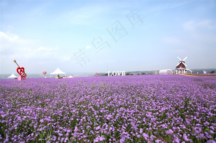 薰衣草庄园唯美风景