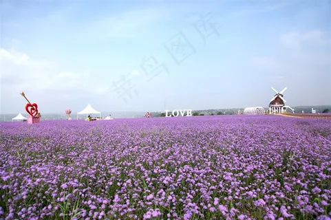 薰衣草庄园唯美风景 薰衣草庄园唯美风景
