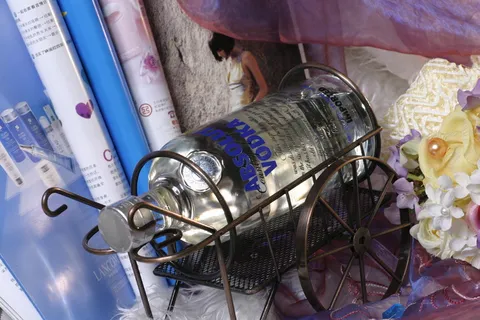 瑞典伏特加酒  瑞典伏特加酒