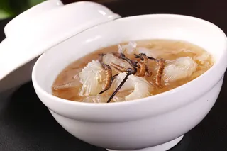 虫草炖海虎翅 (2)