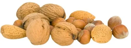 核桃 PNG免抠(1070x399)