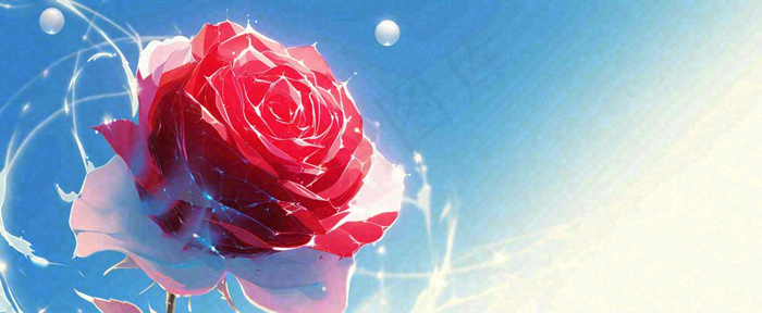 红玫瑰蓝色天空白云唯美，鲜花(1712x704)